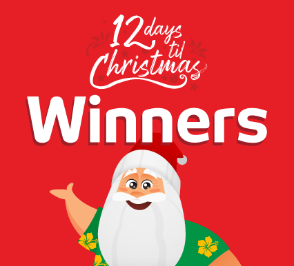 12 Days of Christmas Giveaways Winners