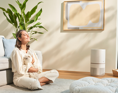 Electrolux Air Purifiers