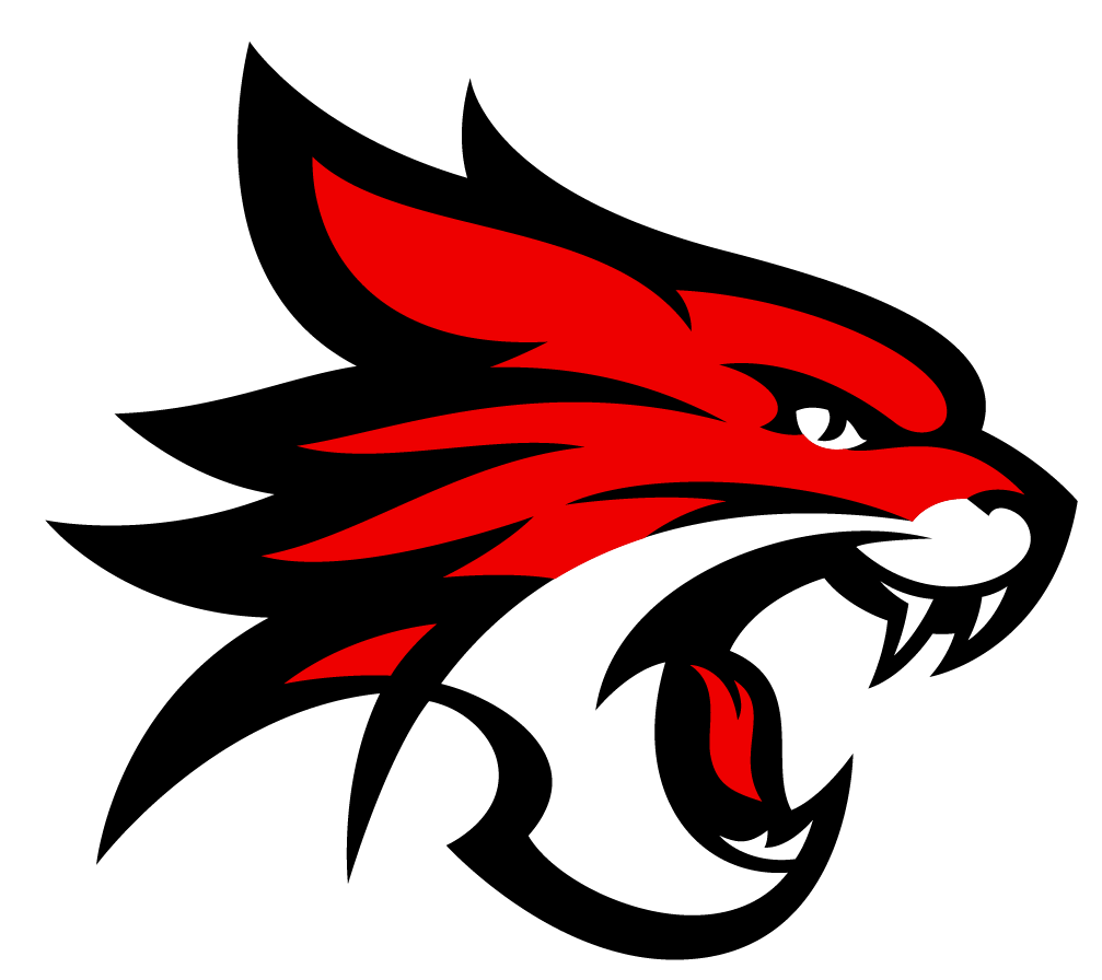 Perth Wildcats Logo