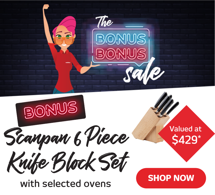 Bonus Scanpan Knife Block