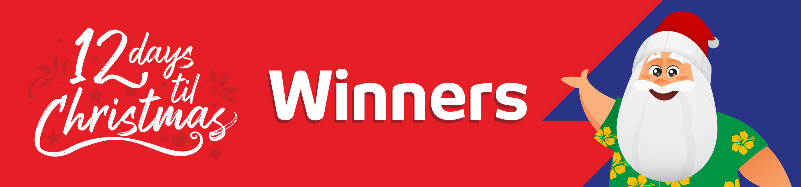 12 Days of Christmas Giveaways Winners