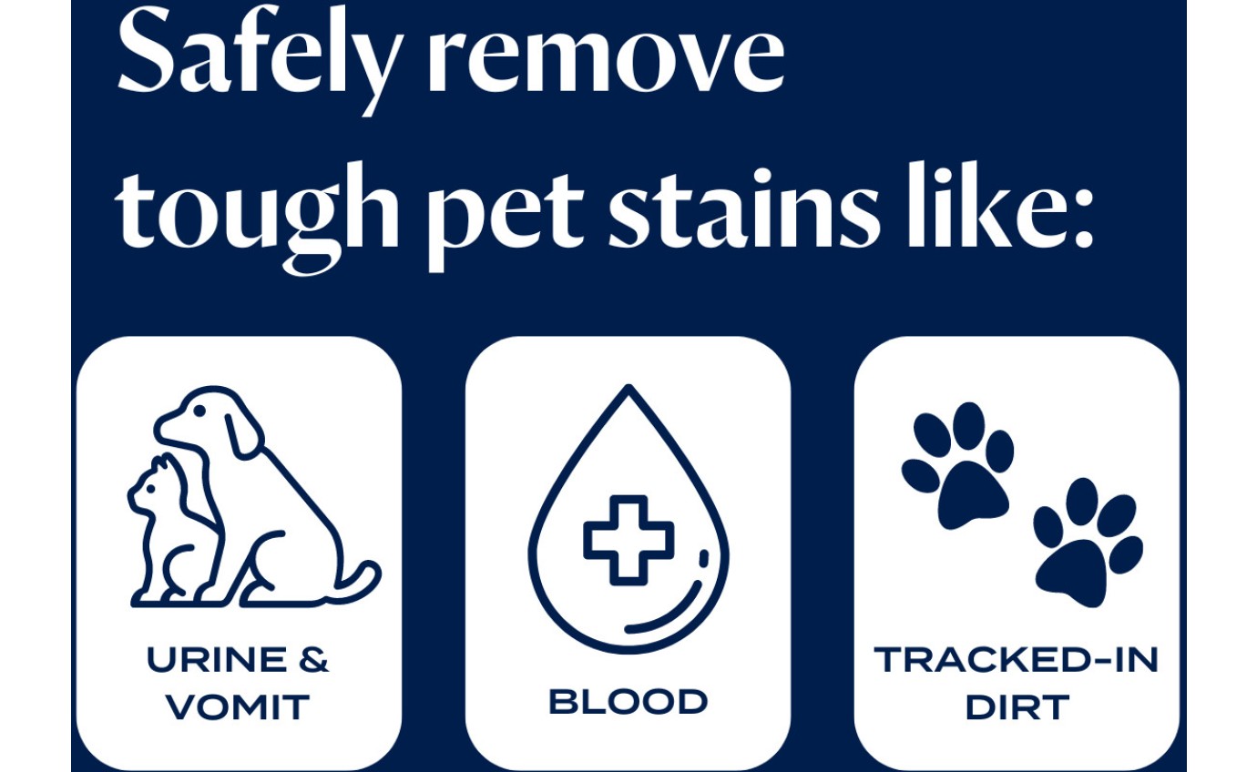 Bissell Pet Pro Oxy Stain Destroyer 650ml 1773