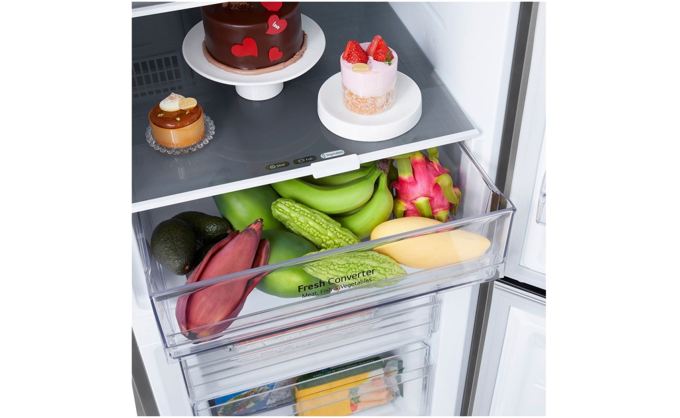 LG 335L Bottom Mount Fridge (Stainless Finish) GBB300PL