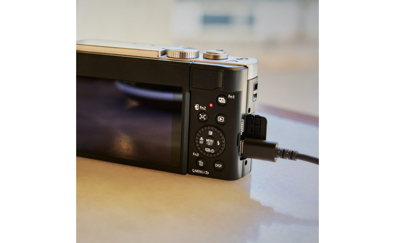 Panasonic LUMIX TZ99 Camera DCTZ99GNK