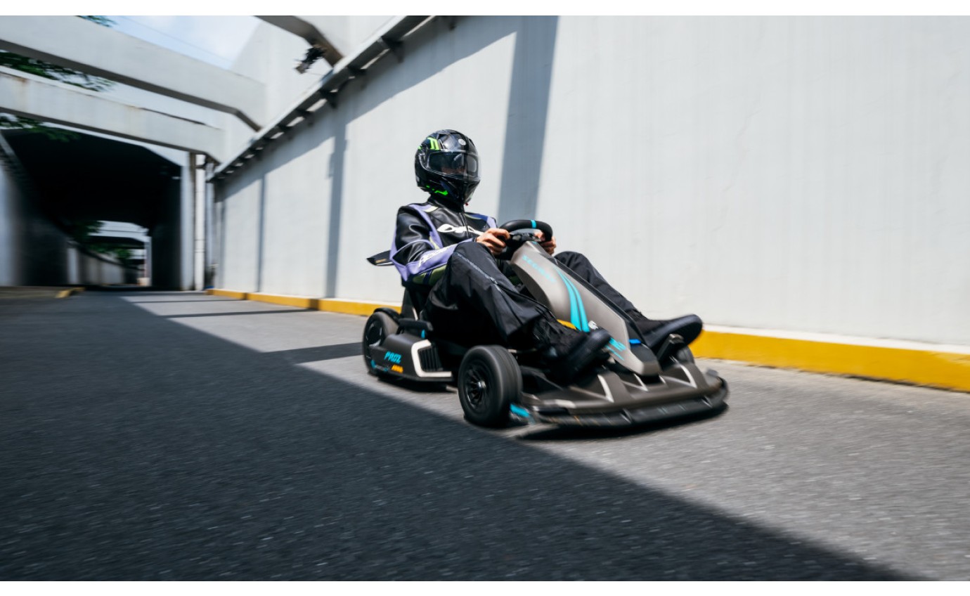 Segway Gokart Pro 2 SEGWGOKARTPRO2