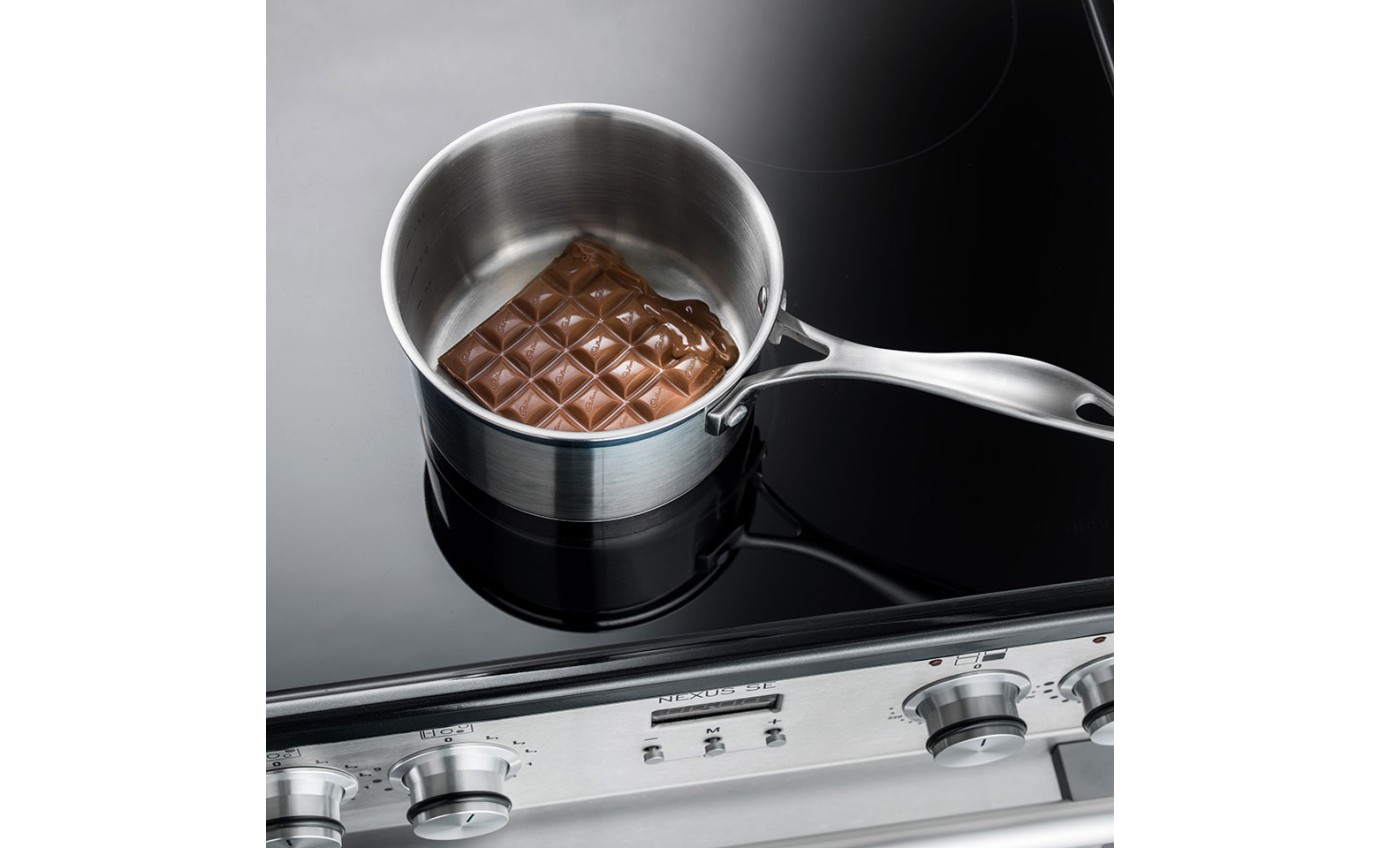 Falcon 110cm Nexus SE Induction Range Cooker (Slate) NEXSE110EISLCH