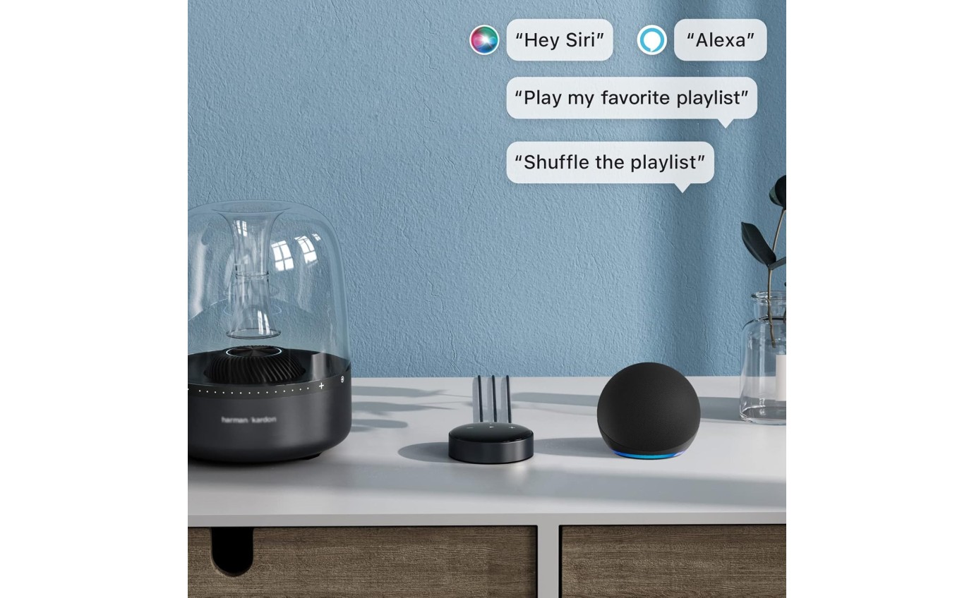 WiiM Mini Hi-Res Wireless Audio Streamer WIIMMINI