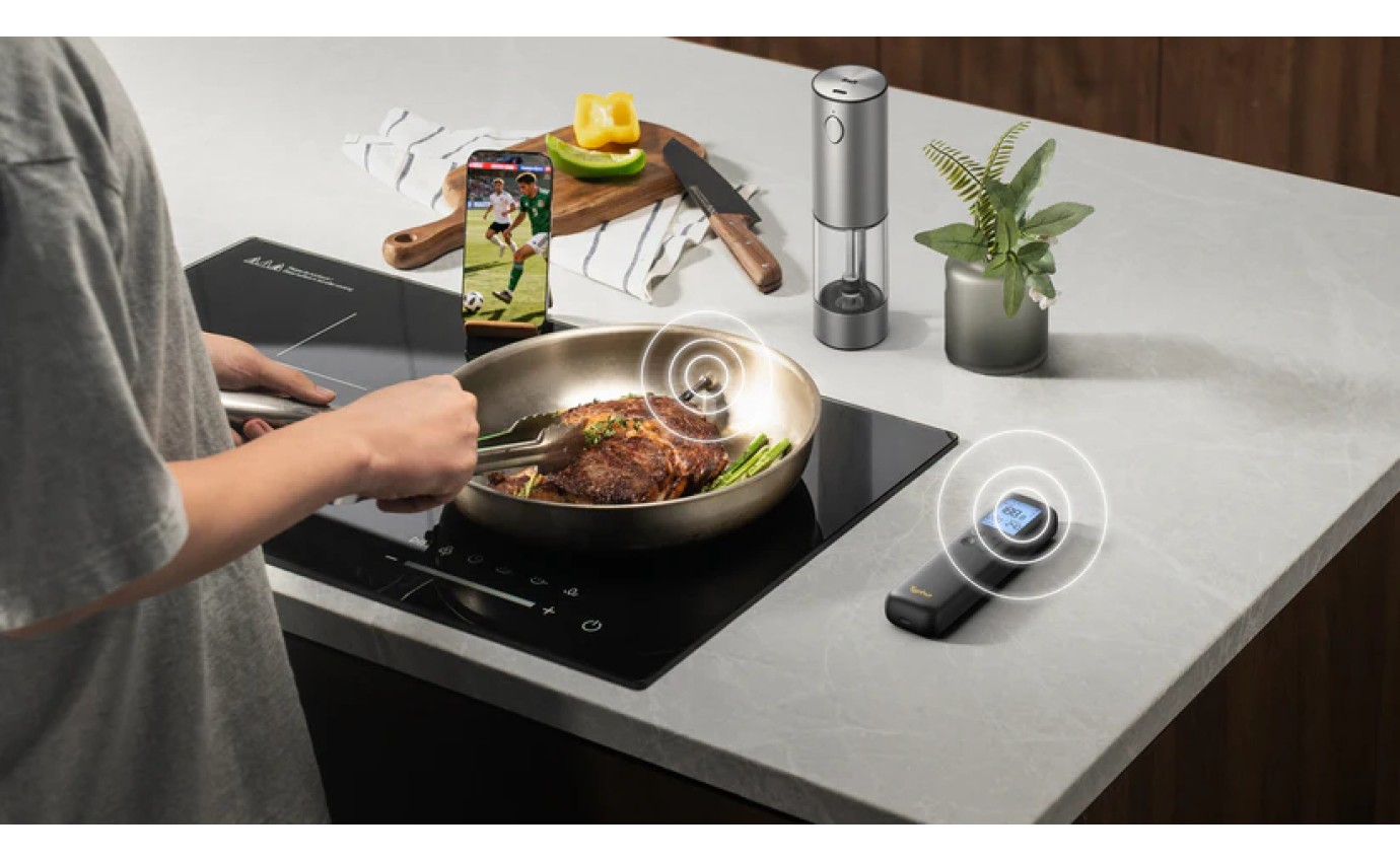 Typhur Sync Gold Lite Single Probe Meat Thermometer YSWT10