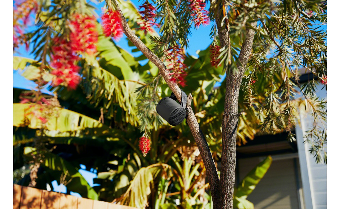 Sony XB100 Portable Wireless Speaker (Black) SRSXB100B