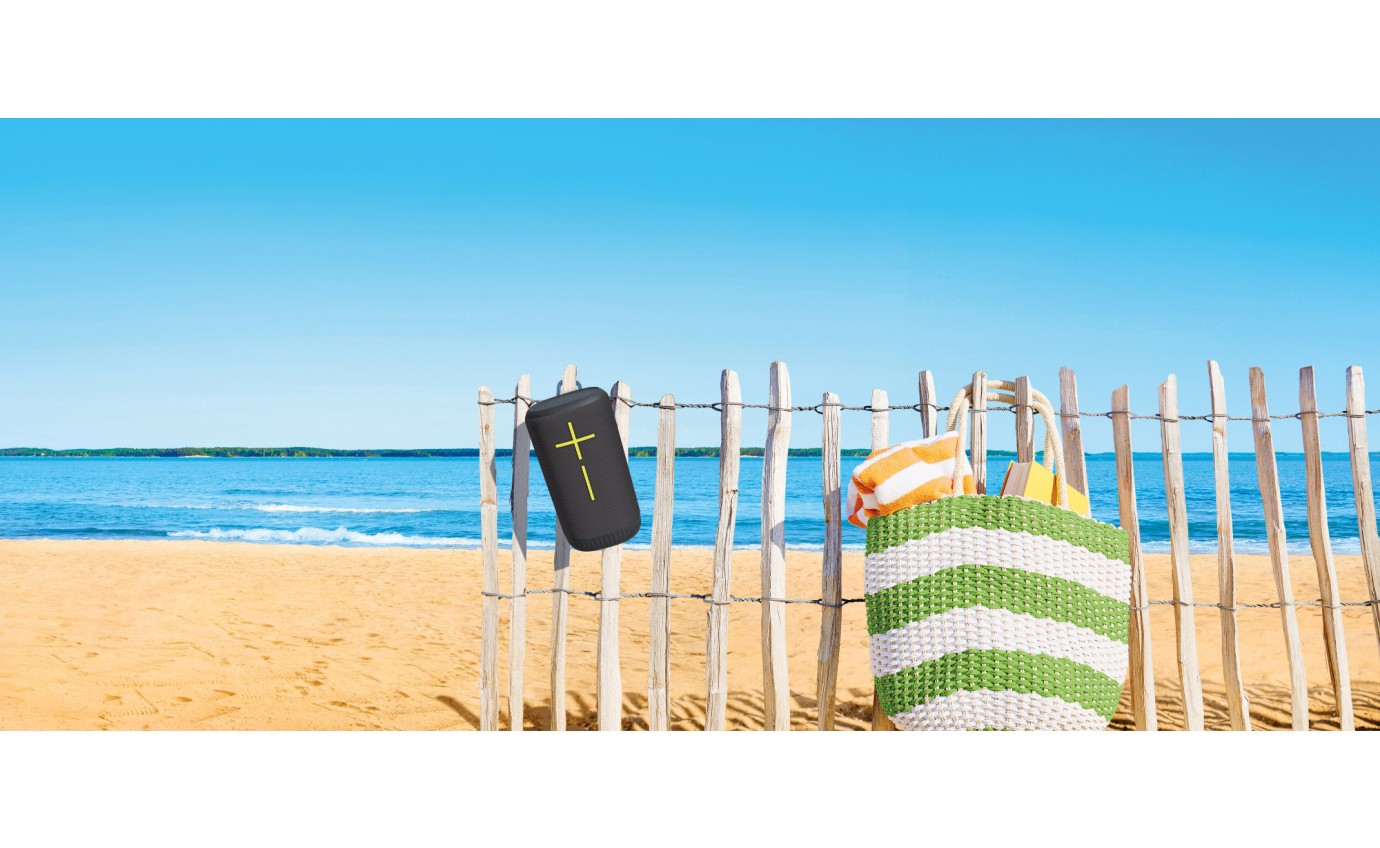 Ultimate Ears EVERBOOM Portable Bluetooth Speaker (Black) 984001920