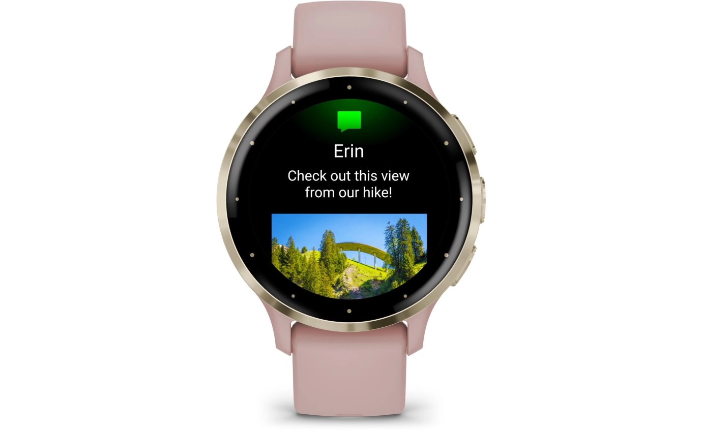 Garmin Venu&reg; 3S Smartwatch (Soft Gold/Dust Rose) 0100278503