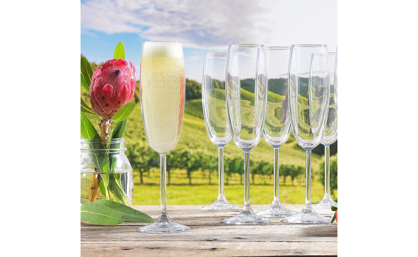 Ecology 220ml Champagne Glass EC16317