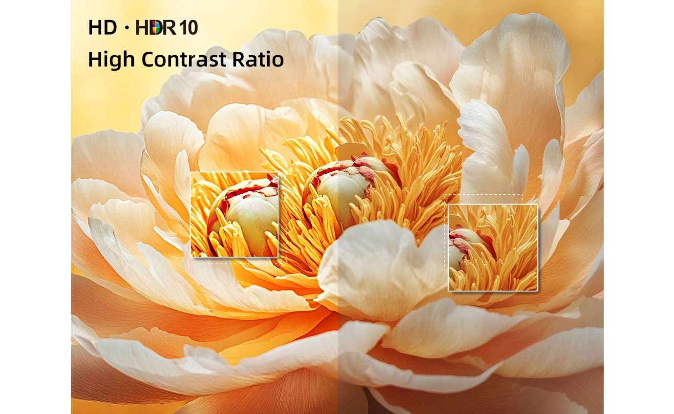 CHiQ 24 inch 12V/240V Portable LED HD Google TV L24D6CG