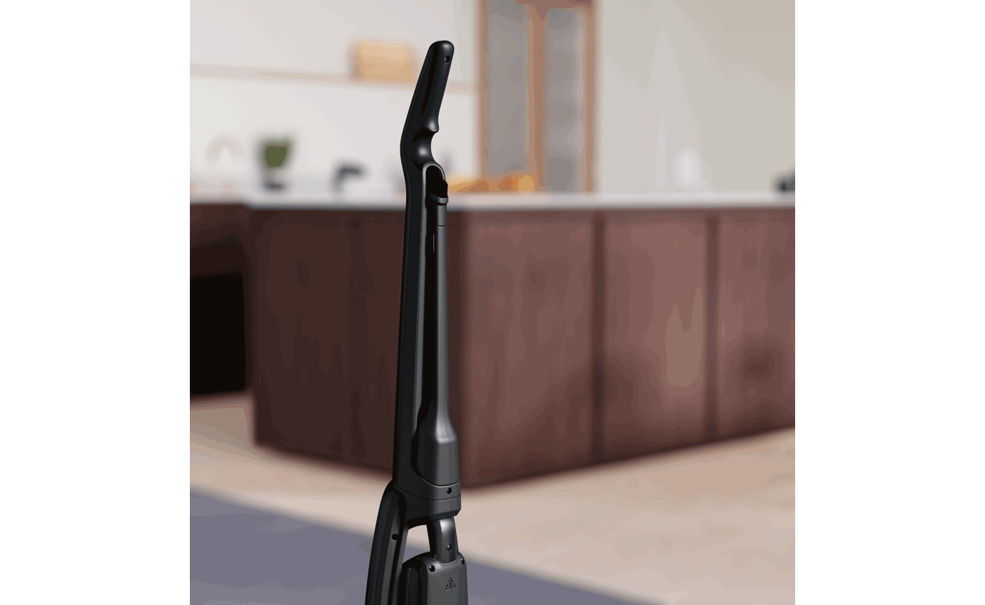 Electrolux Well Q7 Cordless Vacuum WQ71P5OIB