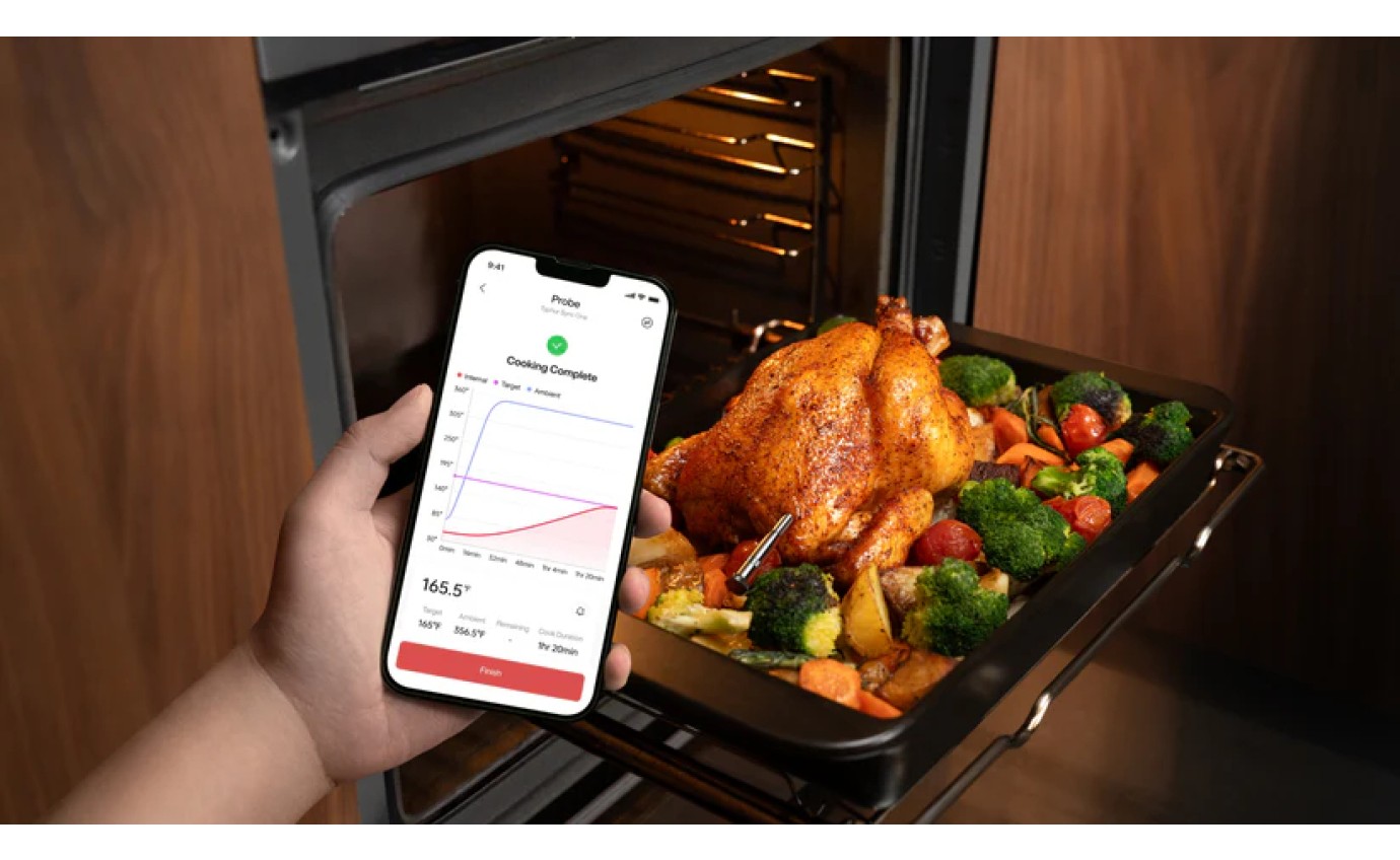 Typhur Sync One Wireless Single Probe Meat Thermometer WT01