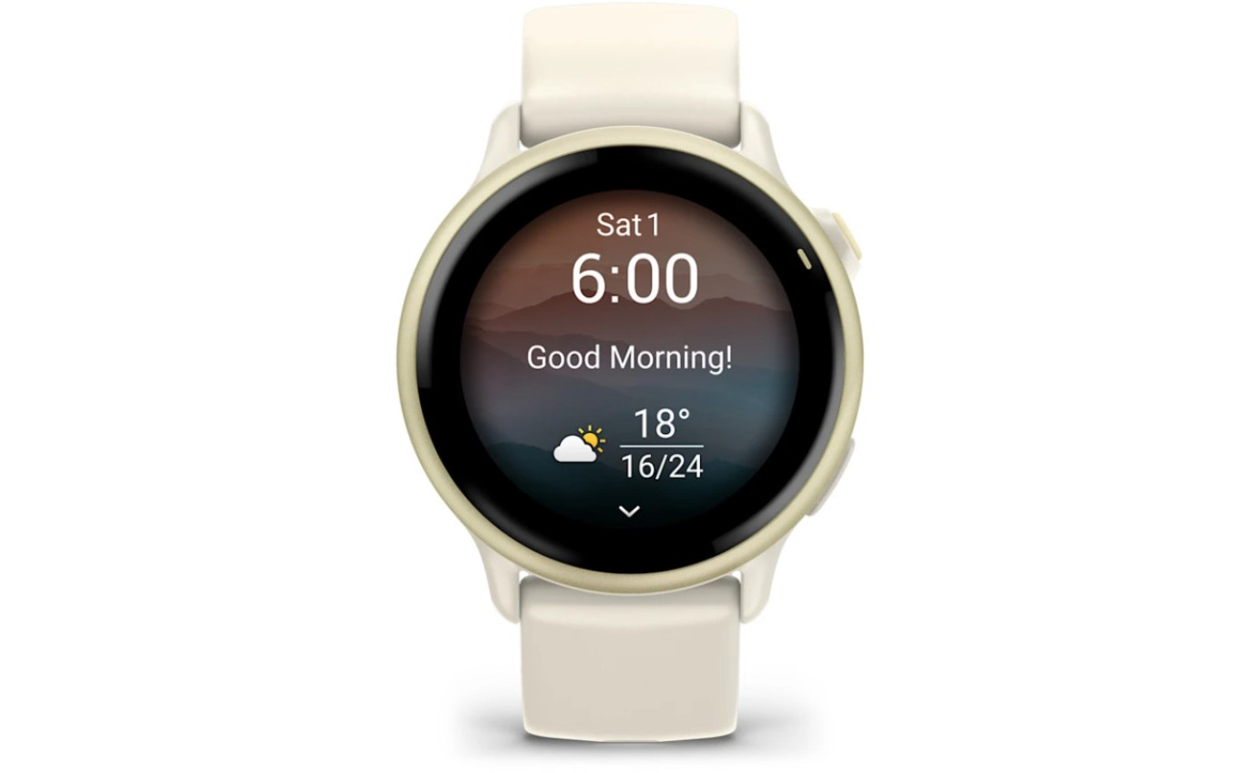 Garmin v&iacute;voactive 6 (Lunar Gold with Bone Band) 0100298501