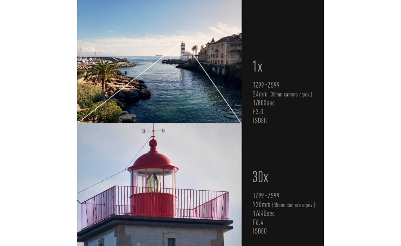 Panasonic LUMIX TZ99 Camera DCTZ99GNK