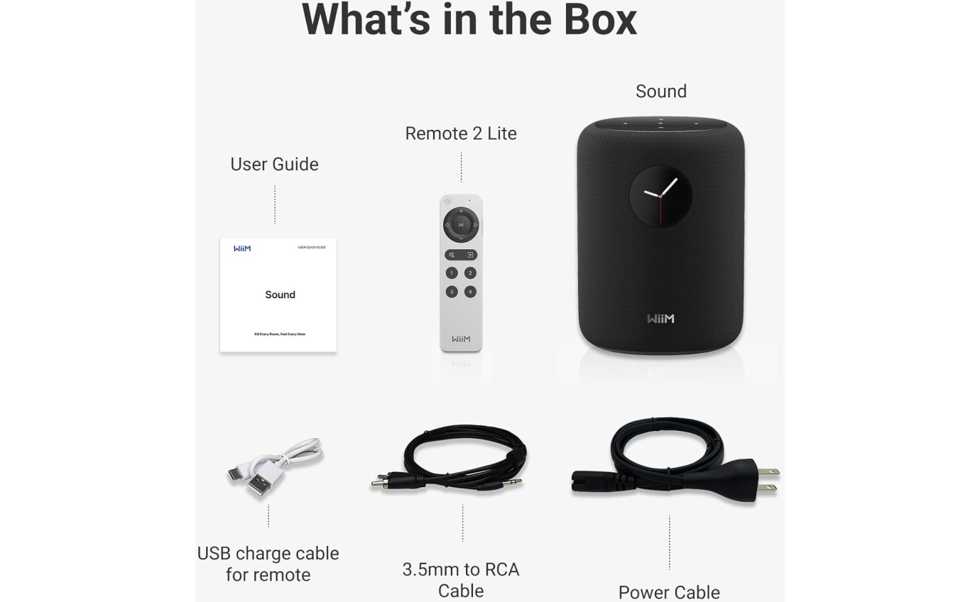 WiiM Sound Smart Speaker (Black) WIIMSOUNDBK