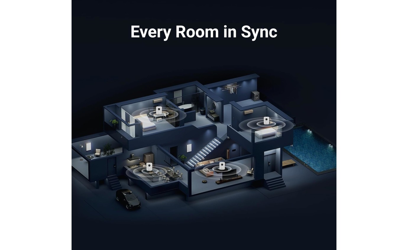 WiiM Sound Smart Speaker (Black) WIIMSOUNDBK