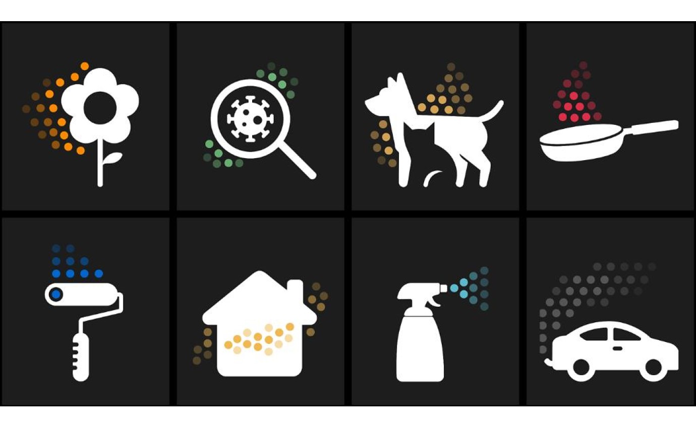 Dyson HushJet&trade; Purifier Compact (Black/Teal) 49271501