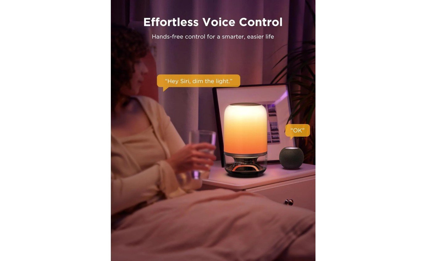 Govee Table Lamp 2 Pro x Sound by JBL H60205F1