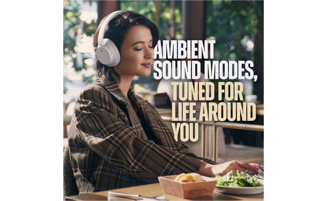 Sony Wireless Noise Cancelling Headphones (Pink) WHCH720NP