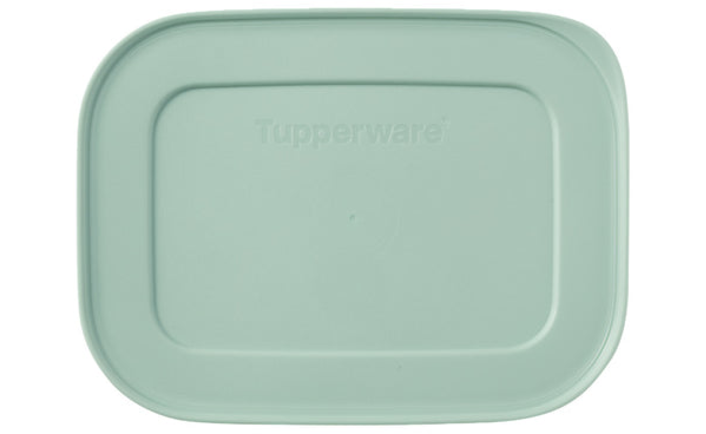 Tupperware Freezable Container Set of 4 TUPP0015