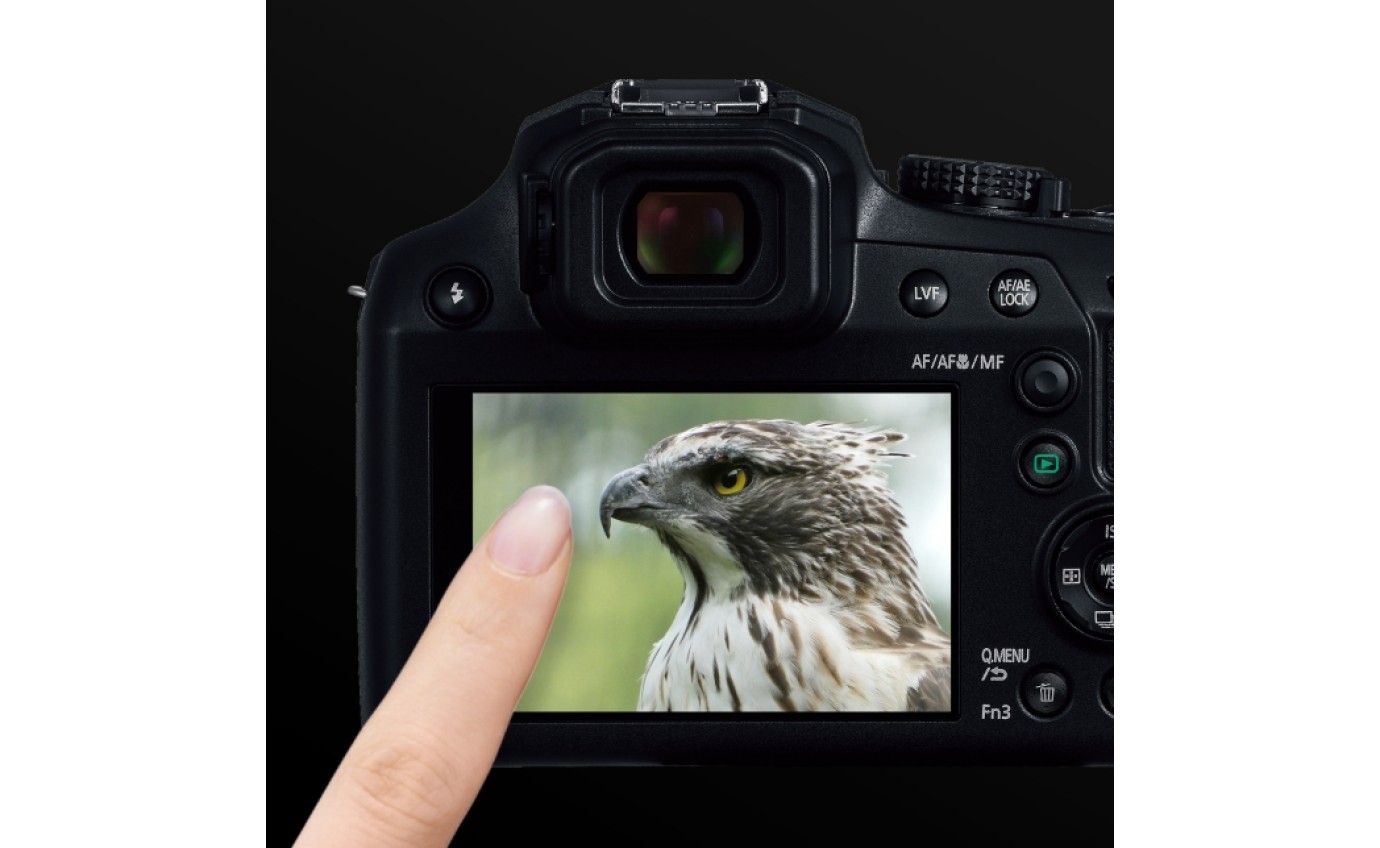 Lumix FZ80D Digital Camera DCFZ80DGNK