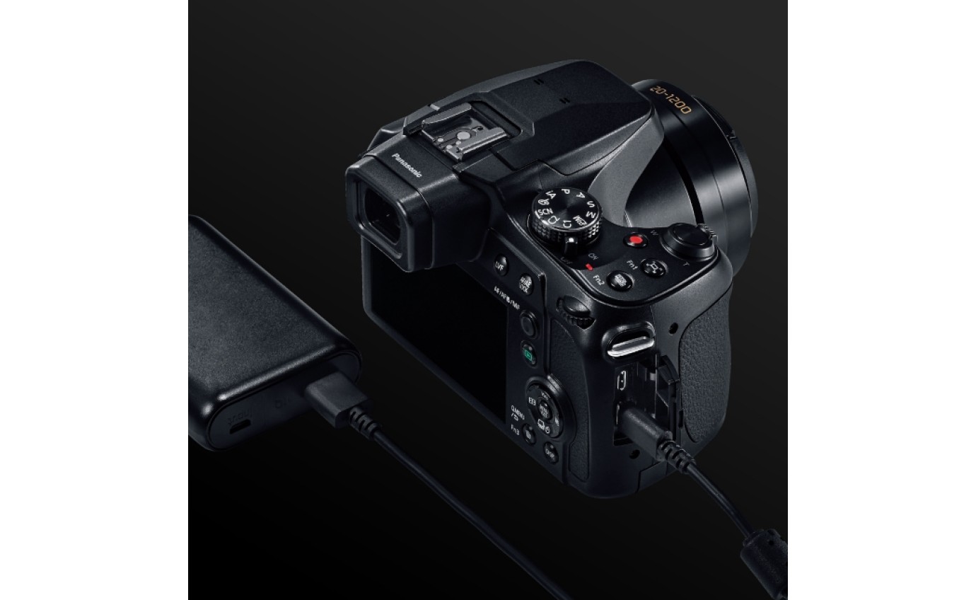 Lumix FZ80D Digital Camera DCFZ80DGNK