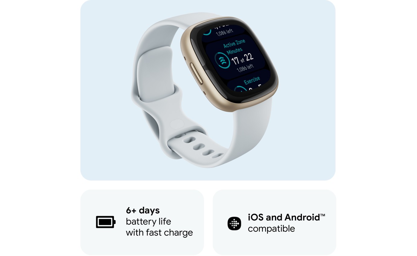 Fitbit Sense 2 Smartwatch (Blue Mist/Pale Gold) FB521GLBMFRCJK