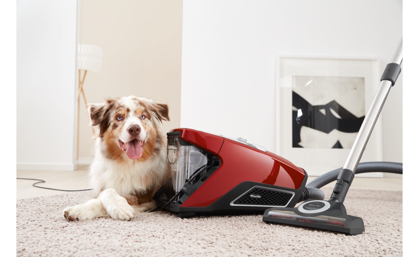 Miele Blizzard CX1 Cat & Dog PowerLine Bagless Vacuum (Autumn Red) 10502220