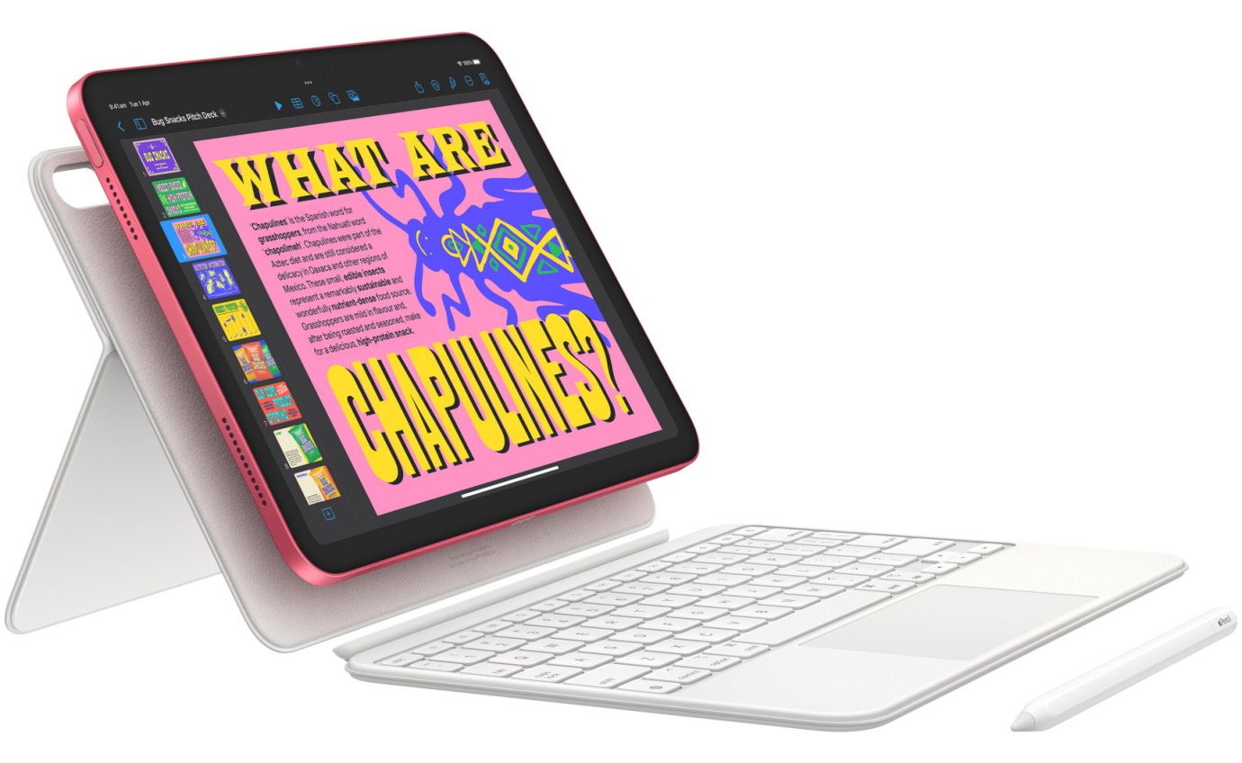 Apple iPad 11-inch A16 Wi-Fi + Cellular 256GB (Pink) MD7N4XA