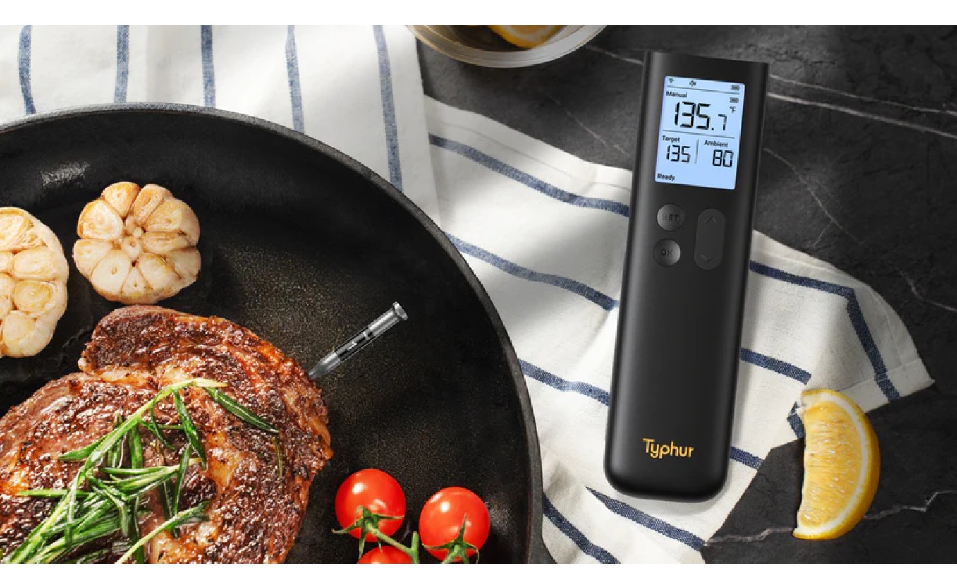 Typhur Sync Gold Lite Single Probe Meat Thermometer YSWT10