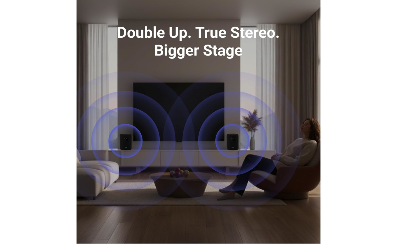 WiiM Sound Smart Speaker (Black) WIIMSOUNDBK