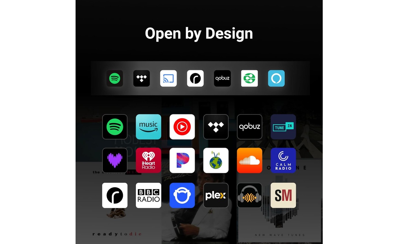 WiiM Sound Smart Speaker (Black) WIIMSOUNDBK