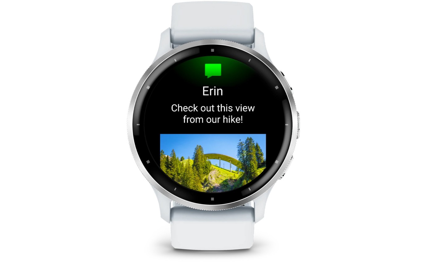 Garmin Venu&reg; 3 Smartwatch (Silver/Whitestone) 0100278400