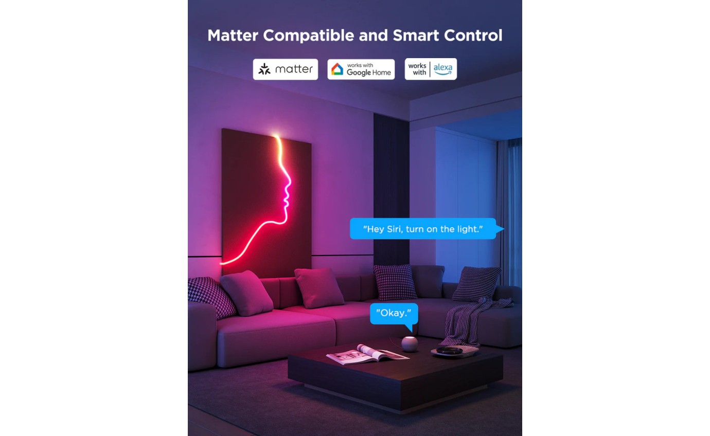 Govee Neon Rope Light 2S (4m) H61D4E01