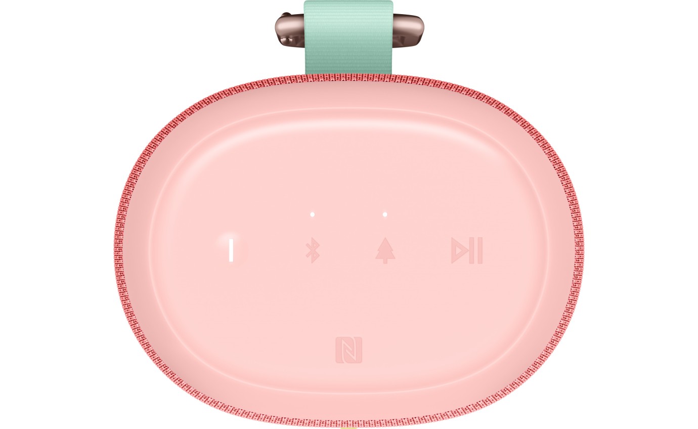 Ultimate Ears EVERBOOM Portable Bluetooth Speaker (Raspberry) 984001930