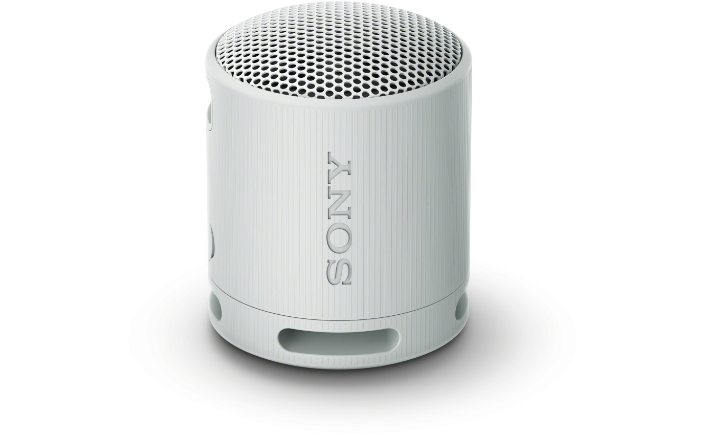 Sony XB100 Portable Wireless Speaker (Grey) SRSXB100H