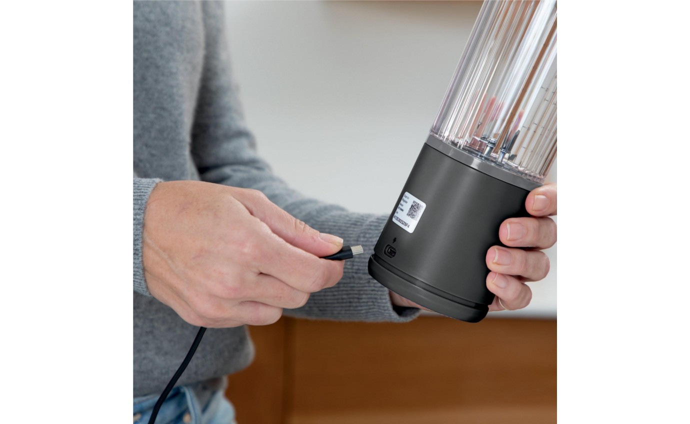 Ninja Blast Portable Blender (Black) BC100BK