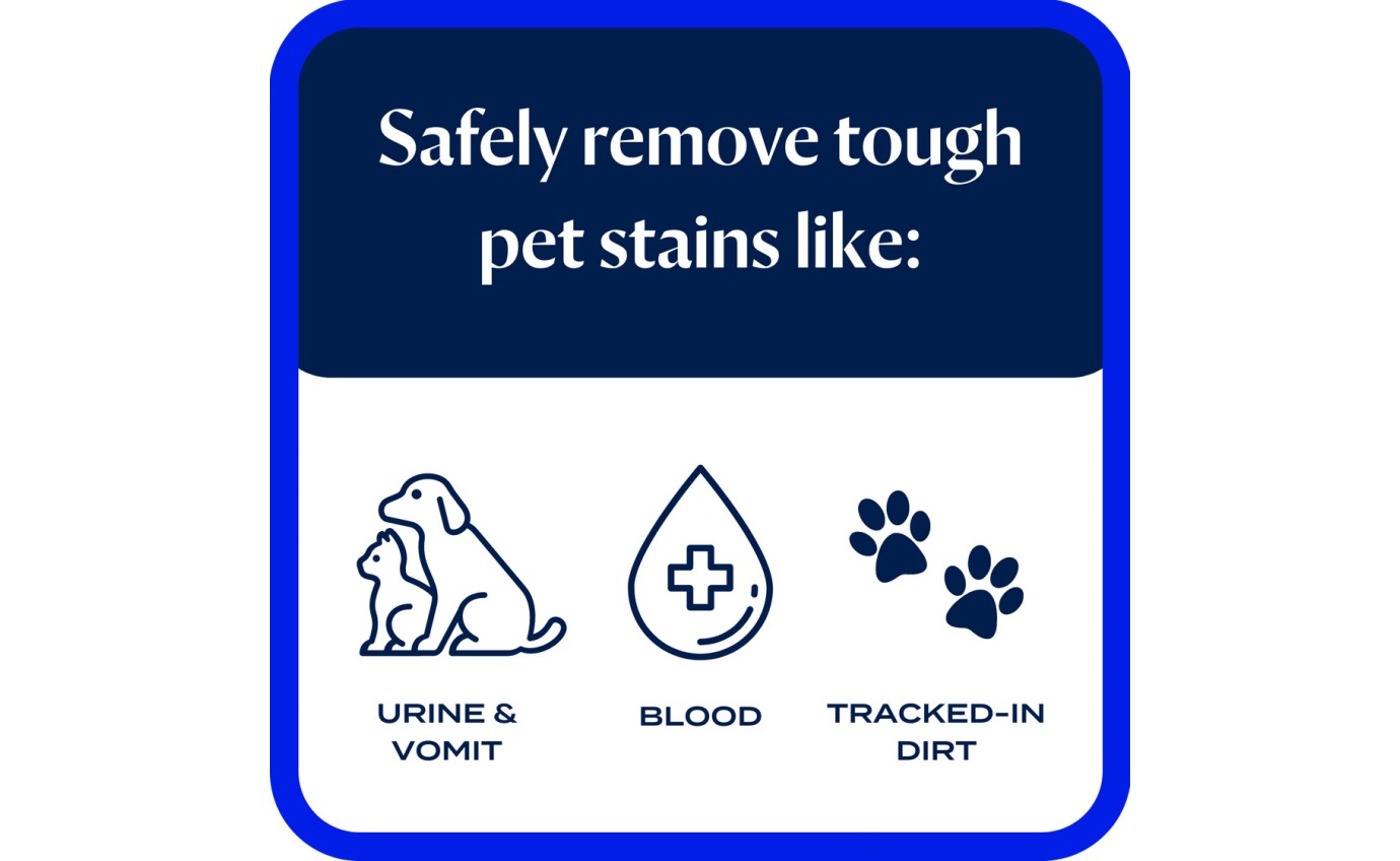 Bissell Wash & Remove Pro Oxy Pet Urine Eliminator Formula (750ml) 2833E