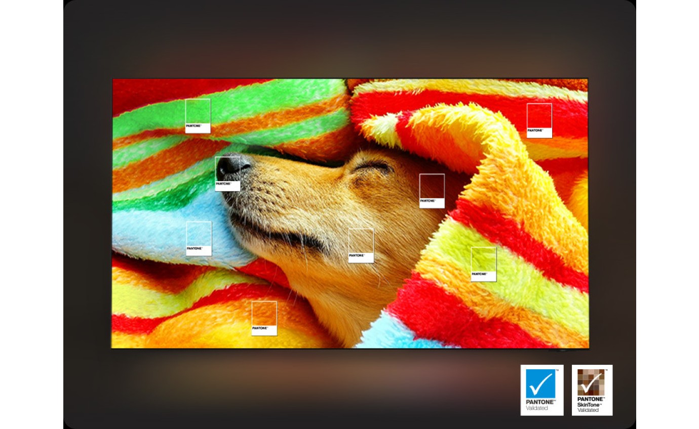 Samsung 100 inch QN80H Neo QLED 4K Vision AI Smart TV QA100QN80HWXXY