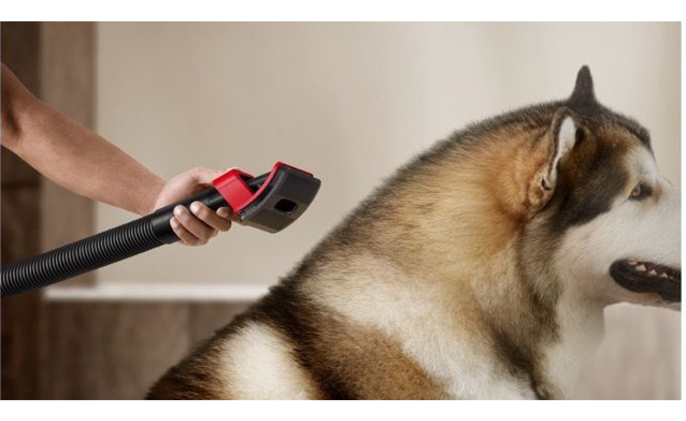 Dyson V16 Piston Animal Submarine&trade; Wet & Dry Vacuum 49602401