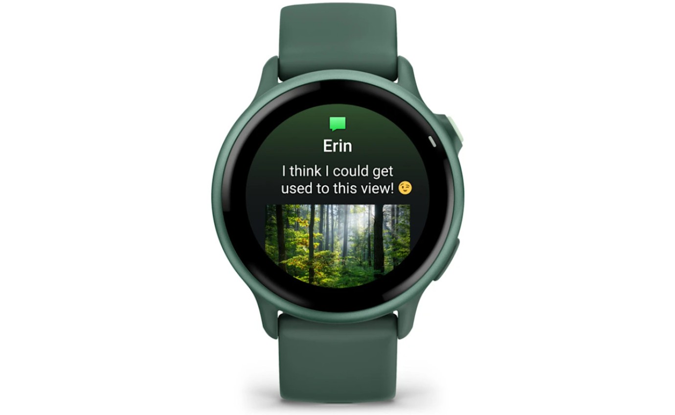 Garmin v&iacute;voactive 6 (Metallic Jasper Green with Jasper Green Band) 0100298502