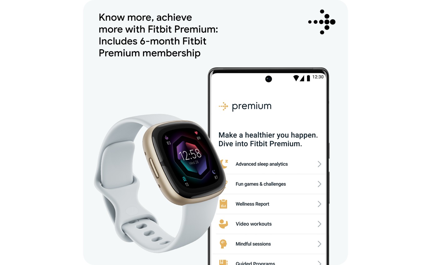 Fitbit Sense 2 Smartwatch (Blue Mist/Pale Gold) FB521GLBMFRCJK
