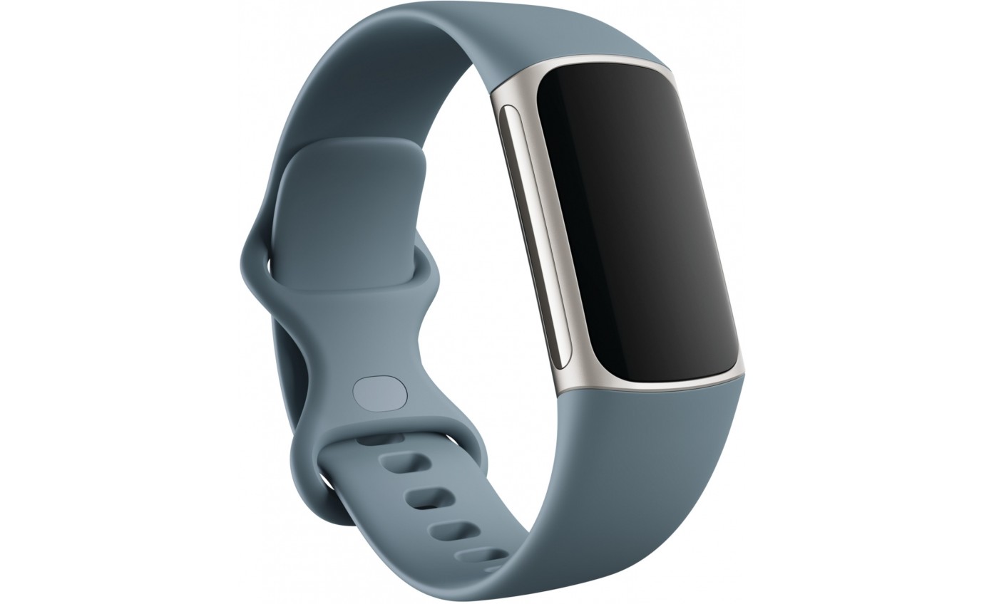 Fitbit Charge 5 Fitness Tracker (Steel Blue/Platinum) FB421SRBUFRCJK